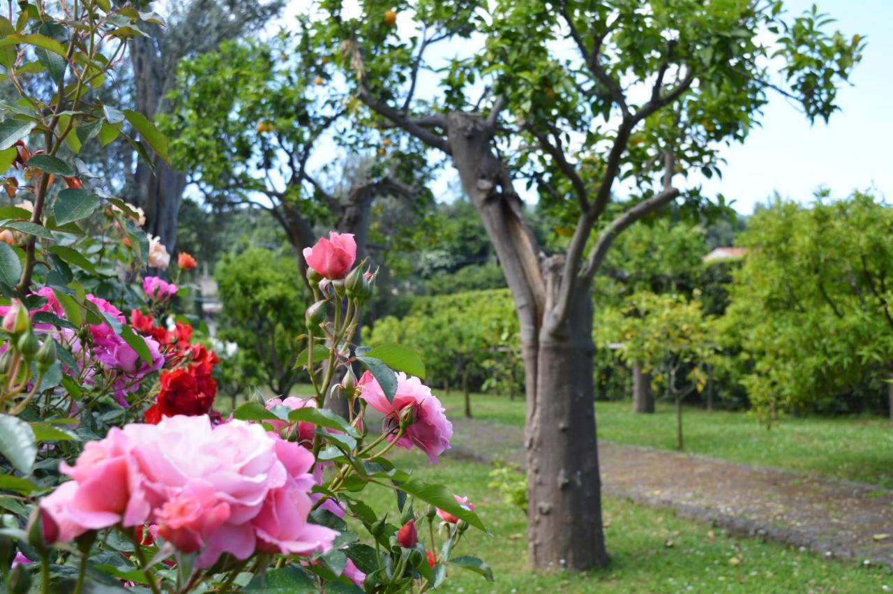 Bed and Breakfast Sara'S Sweet Corner Meta Exteriér fotografie
